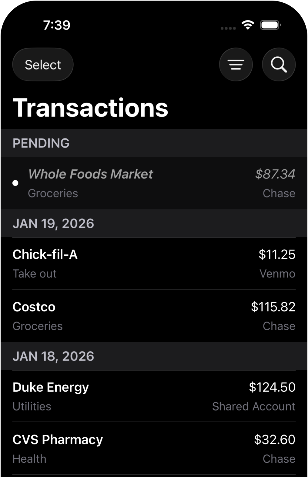 Wellspent transaction list on iPhone showing recent purchases by category and account